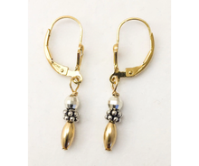 Two Tone Everyday Lever Back Earring