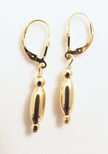 Sleek Golden Lever Back Earrings