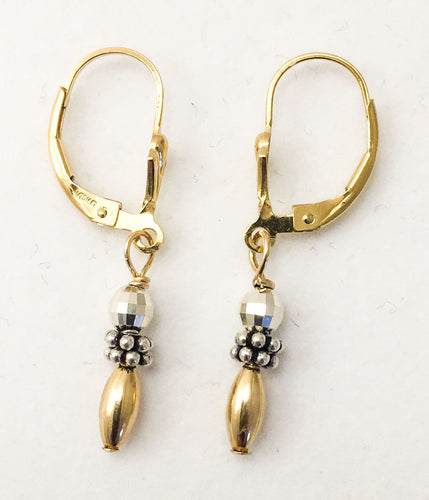 Two Tone Everyday Lever Back Earring